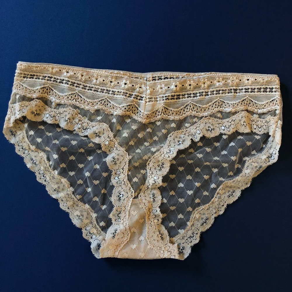 FLORA NIKROOZ Heart Mesh Hipster Panties Nude L